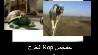 Turtle song Persian language rap Battle