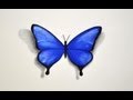 How to Draw a Butterfly With Pastel