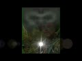 Bigfoot Eye Glow? - Analysis of MountainDrifter74 Eye Glow Footage