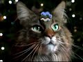 Hula Cats Christmas - Humor & Pranks ecards - Christmas Greeting Cards Hula Cats Christmas - Humor & Pranks ecards - Christmas Greeting Cards