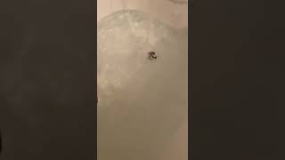 Best Night Routine Lets Relax