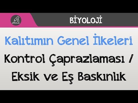 Kalıtımın Genel İlkeleri - Kontrol Çaprazlaması / Eksik ve Eş Baskınlık