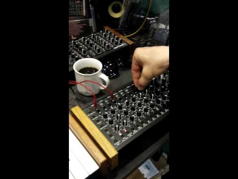 Stereoklang TV: Live audio demo of MFB Tanzbär