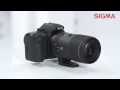 The Sigma 150mm F2.8 EX DG OS HSM APO Macro