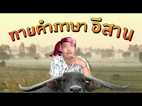 ทายคำภาษาอีสาน | SHOCKER BOYS