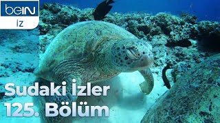 Sudaki İzler 125. Bölüm Sipadan