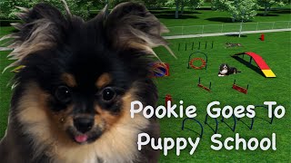 Pookie Goes To School