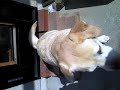 Anime44 動画16c