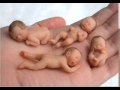 Esas Manos que el cielo y la tierra crearon, alabanza gitana.wmv