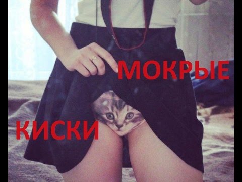 Фото женских кисок телефоном44