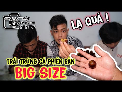 TNB Một Ngày Của Team | Ăn Thử Trái Trứng Cá Phiên Bản BIG SIZE