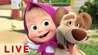 🔴 LIVE STREAM 🎬 Masha and the Bear 🐻👱♀️ The secret life of Masha's pets 🐷🐇