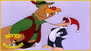 Woody Woodpecker Well Oiled Old Cartoon Woody Woodpecker Full Episodes