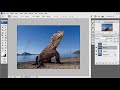image Belajar Photoshop Edit Foto Efek Out Of Frame Dalam 13 Menit