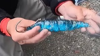 Big Shark Bait And Rigging