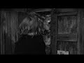 Michelangelo Antonioni S L Avventura U S Re Release images Michelangelo Antonioni S L Avventura U S Re Release