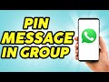How To Pin A Message in WhatsApp Group - 2024