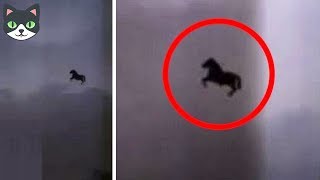 7 VIDEOS QUE CONFIRMAN QUE VIVIMOS EN UNA SIMULACIÓN PARTE 3 | FALLAS EN LA REALIDAD