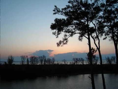 Just Another Morning Here Video