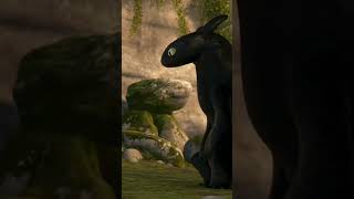 Rip Hiccup