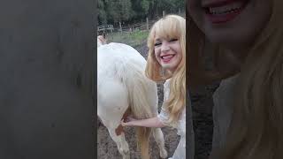 Dainty Rascal Heart Of D Sanctuary Update November 2023