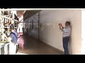 ganado leche