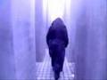 List Of Holocaust Victims Humanities | RM. List Of Holocaust Victims Humanities | RM.