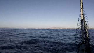 Bodega Bay Fishing Charter | REEL MAGIC Sport Fishing Charters VID 20150908 171522624