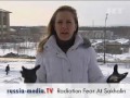 Видео Radiation-Fear At Sakhalin