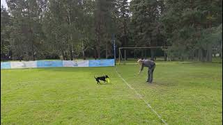 Vitāra Dino Zoo Cup 2023. Dog Frisbee