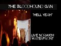 "HELL YEAH" -BLOODHOUND GANG- *LIVE* @ NORWICH WATERFRONT