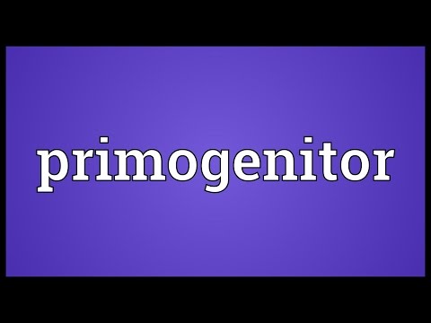 Header of primogenitor