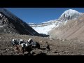 Holy Mt. Kailash Yatra 2010