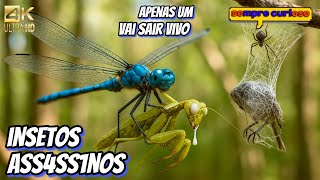 O Mundo Brutal Dos Insetos Inos - 8K Uhd
