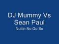 Dj Mummy Vs Sean Paul - Nuttin No Go So (Remix)