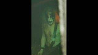 Watch Barathrum Legions Of Perkele video