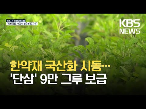 전체 동영상