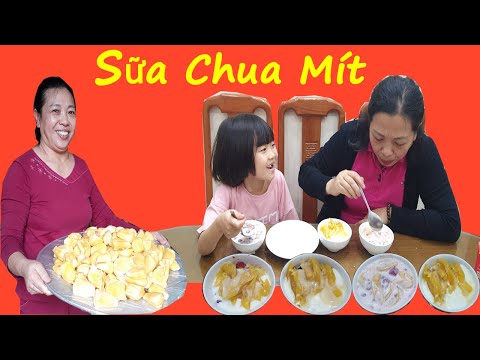 Cách làm sữa chua mít đơn giản