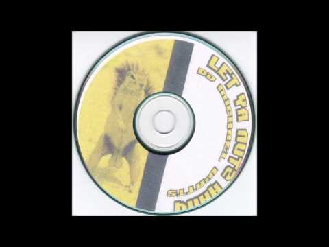 Birds Video