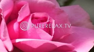Think Positive Health Spa Wellness Yoga Music Spiritual Heal Energy Think Positive Health Spa Wellness Yoga Music Spiritual Heal Energy