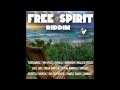 Free Spirit Riddim [Notnice Records] April 2013 Preview