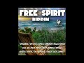 Free Spirit Riddim [Notnice Records] April 2013 Preview