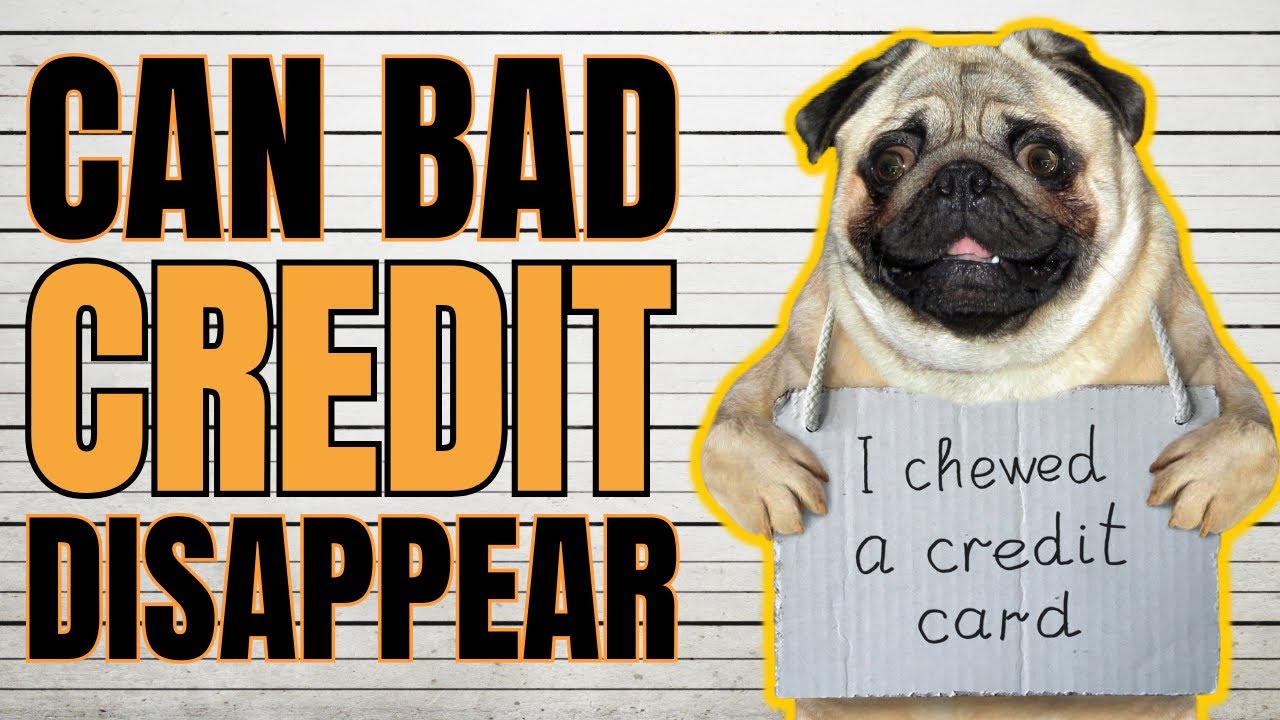 Removing Accounts From Your Credit Report | EIDL Removing Accounts From Your Credit Report | EIDL
