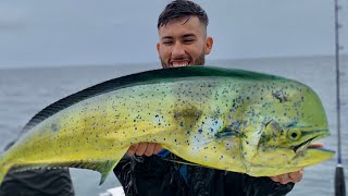 Sail fish, mahi and roosters on a rainy day.