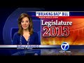 Breaking Bad bill on governor's desk