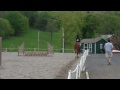 Dana Horseback Riding May 7