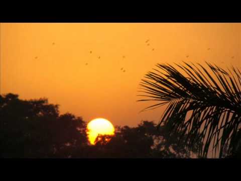 abke saal poonam mein_0001.wmv