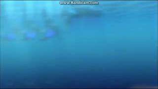 Fish Are Friend Not Food