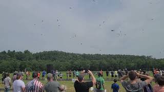 Flite Fest 2025 Combat