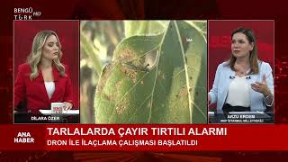 Mhp İstanbul Mi̇lletveki̇li̇ Arzu Erdem Di̇lara Özeri̇n Sunduğu Ana Habere Konuk Oldu